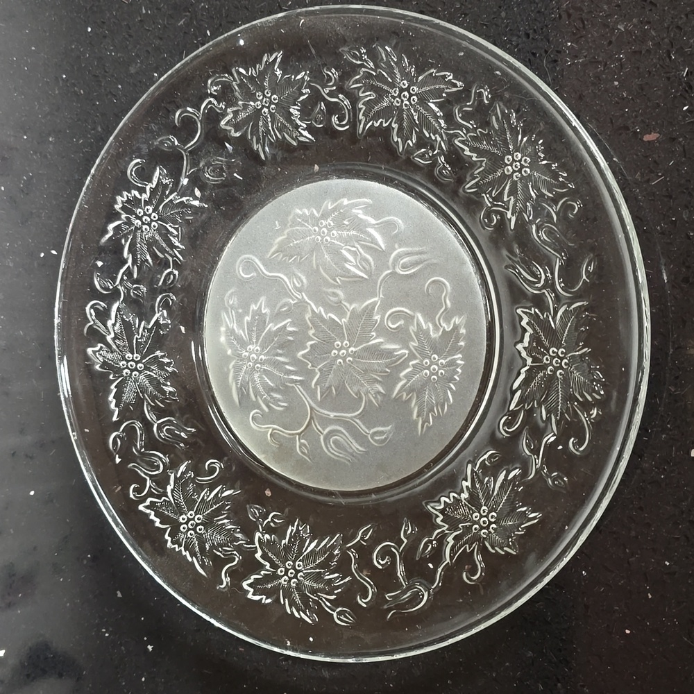 HOST PICK. Princess House Fantasia Pattern 8" Plate